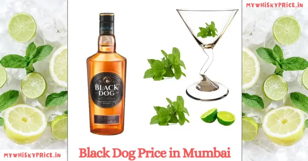 Black Dog Price in Mumbai